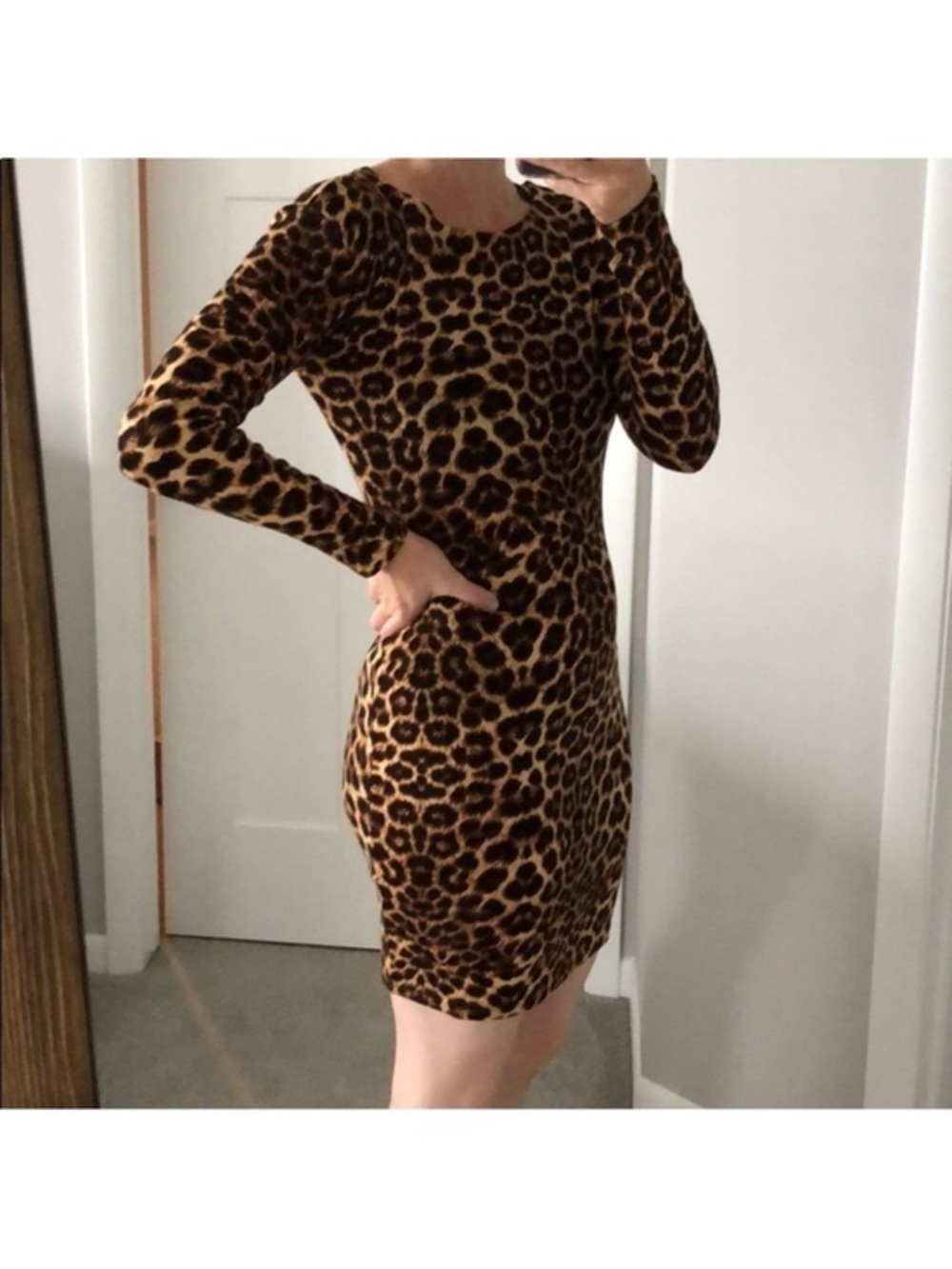 Leopard Print Long Sleeve Dress - Brown & Black